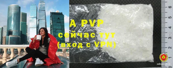 винт Вяземский