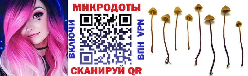 Галлюциногенные грибы GOLDEN TEACHER  МЕГА сайт  Западная Двина  площадка как зайти  даркнет сайт 